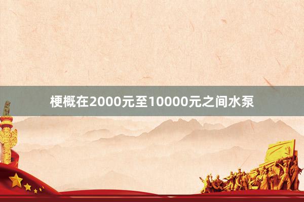 梗概在2000元至10000元之间水泵